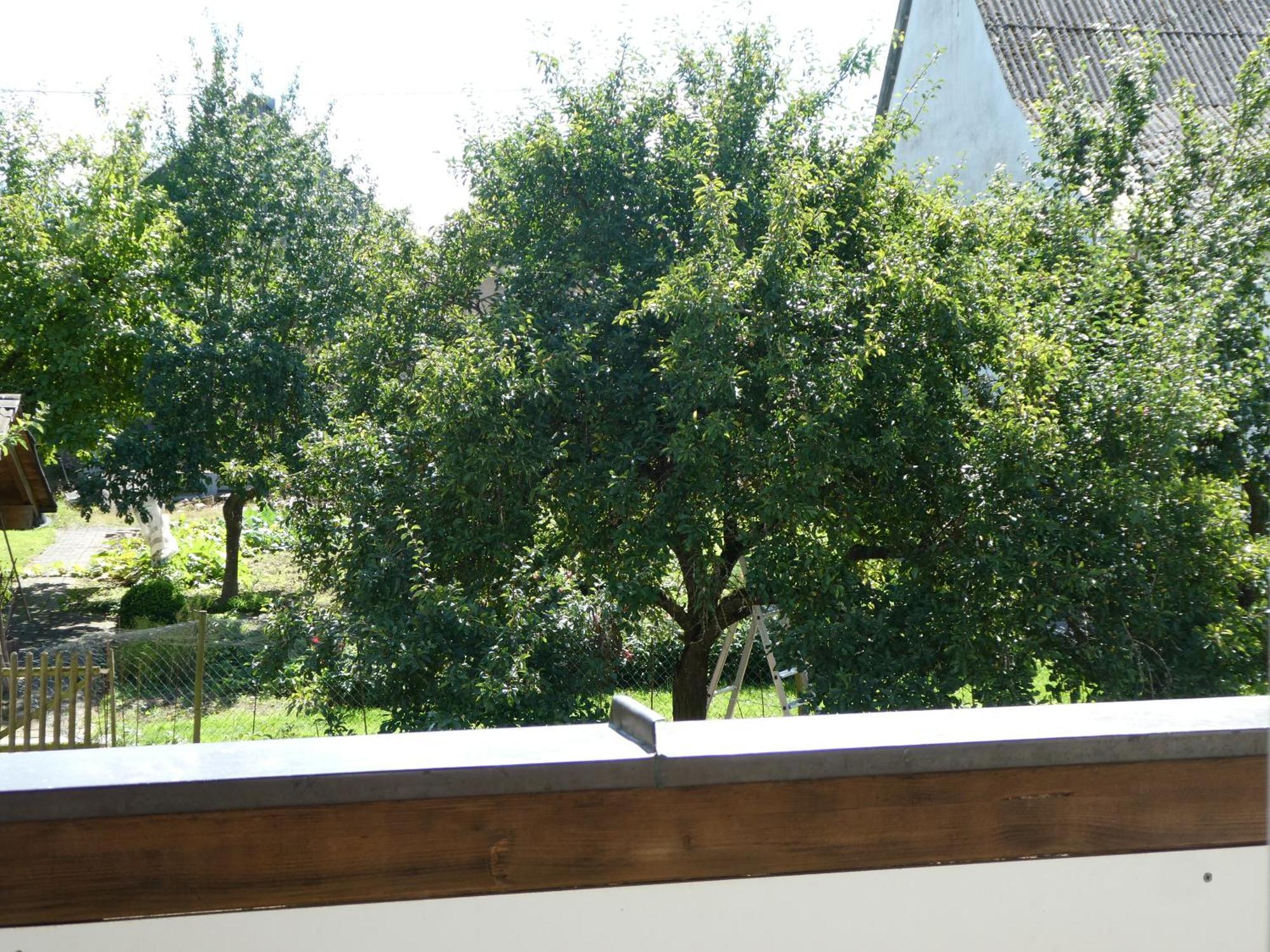 Waldesblick, Hotel-Restaurant Lahr  ภายนอก รูปภาพ
